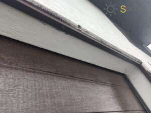 IMG 9d41623cfb5575699c4827455af1ec37 V